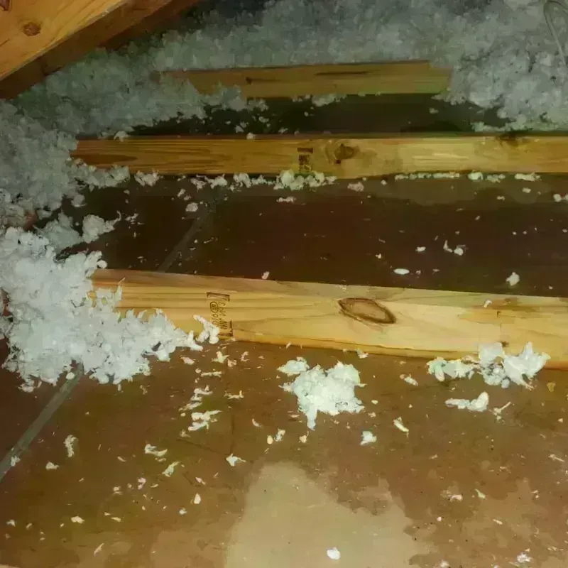 Attic Water Damage in Newkirk, OK