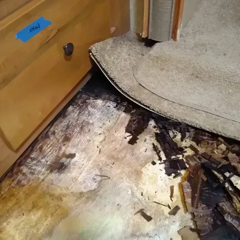 Wood Floor Water Damage in Newkirk, OK